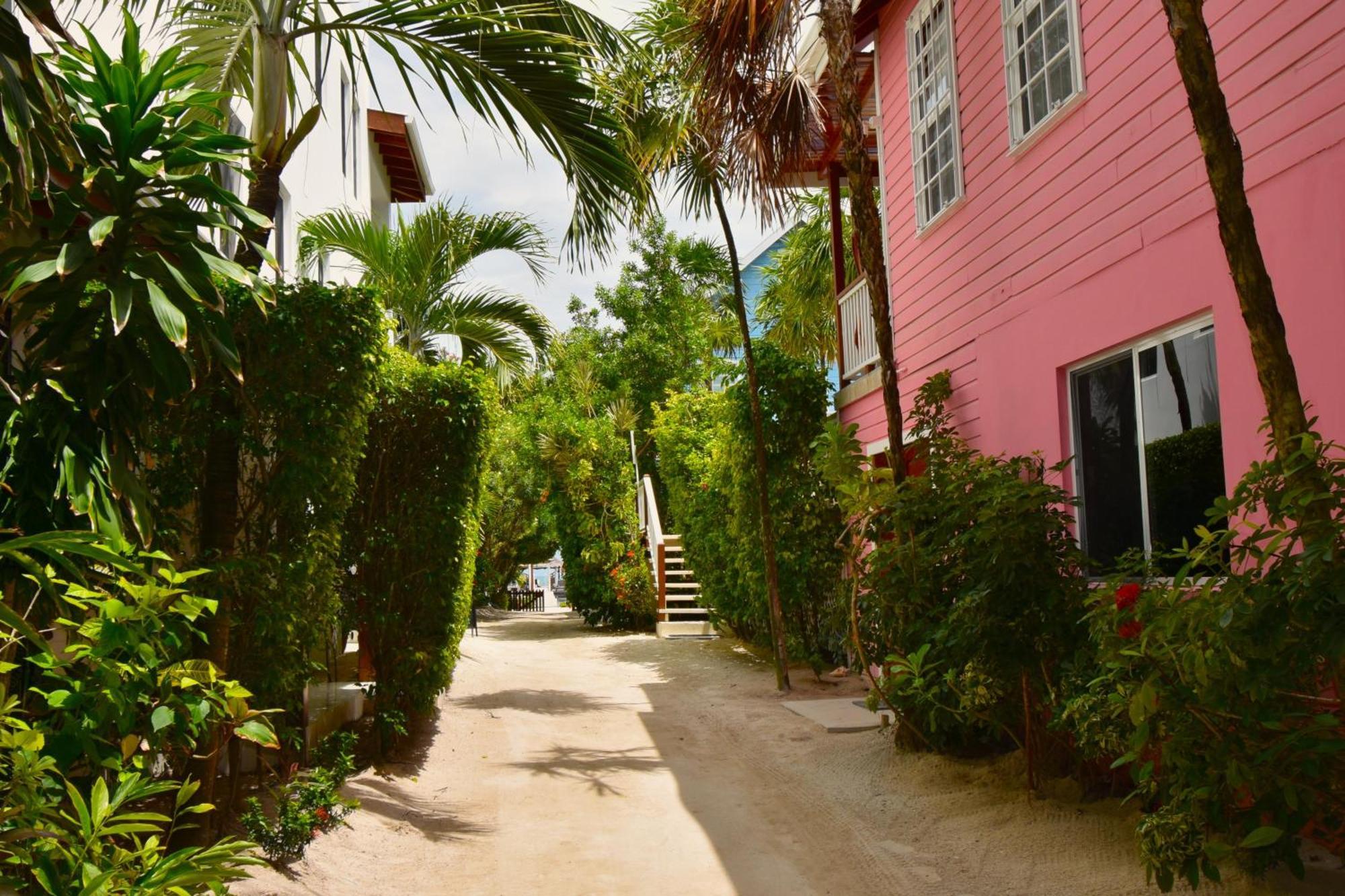 Palmetto Garden Cottage Caye Caulker Eksteriør billede